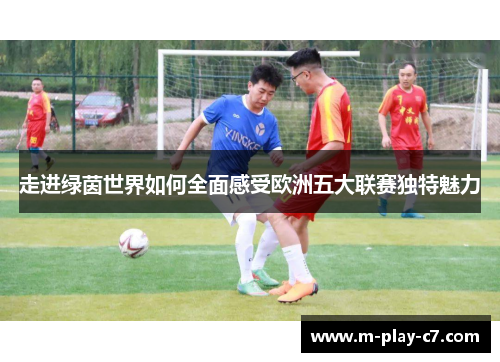 走进绿茵世界如何全面感受欧洲五大联赛独特魅力