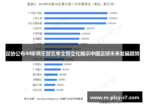 足协公布44家俱乐部名单全新变化揭示中国足球未来发展趋势