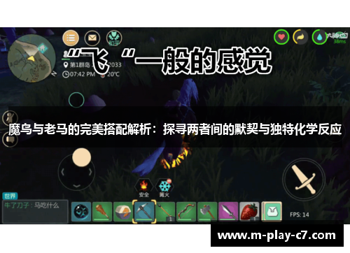 魔鸟与老马的完美搭配解析:探寻两者间的默契与独特化学反应 魔鸟与老马的完美搭配解析:探寻两者间的默契与独特化学反应