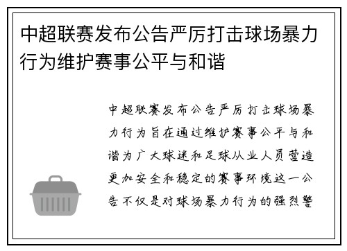 中超联赛发布公告严厉打击球场暴力行为维护赛事公平与和谐